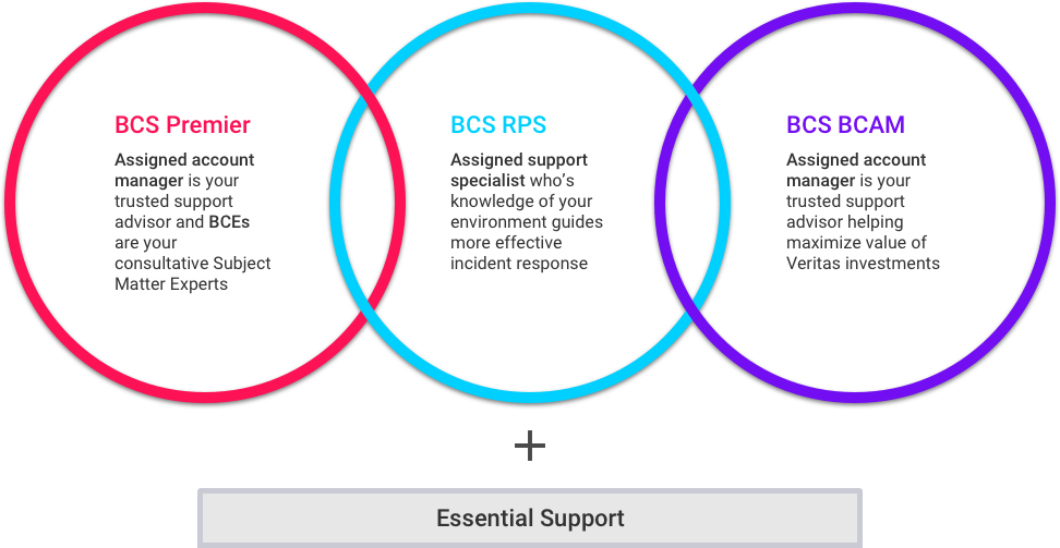BCS Support Offerings